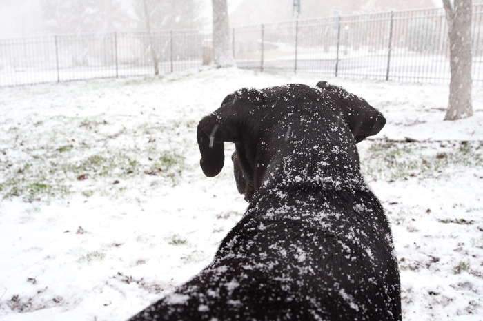 010213_8GroundHogDayR