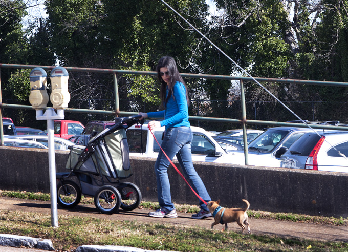 021813_24WalkingTheDogsR