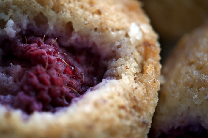 030713_41RaspberryFriandsR