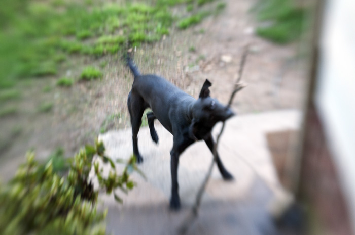 041913_84MurrayHasAStickR