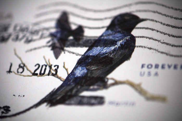 050313_98ForeverUSAR