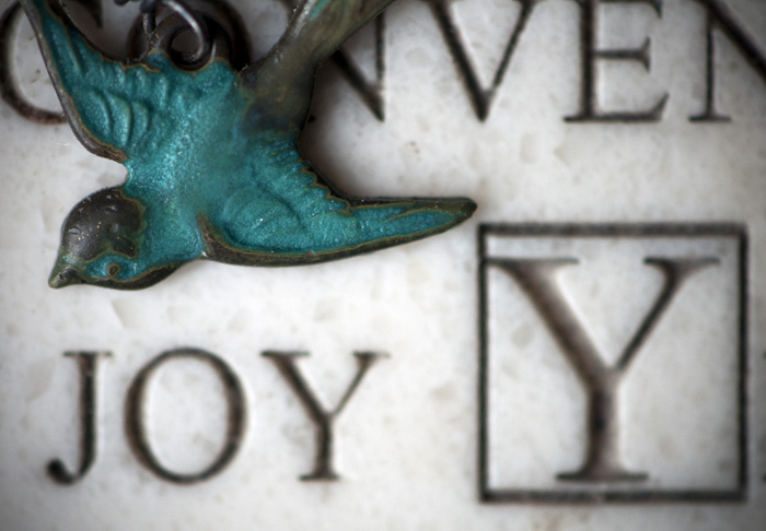 050413_99LittleBlueBirdR