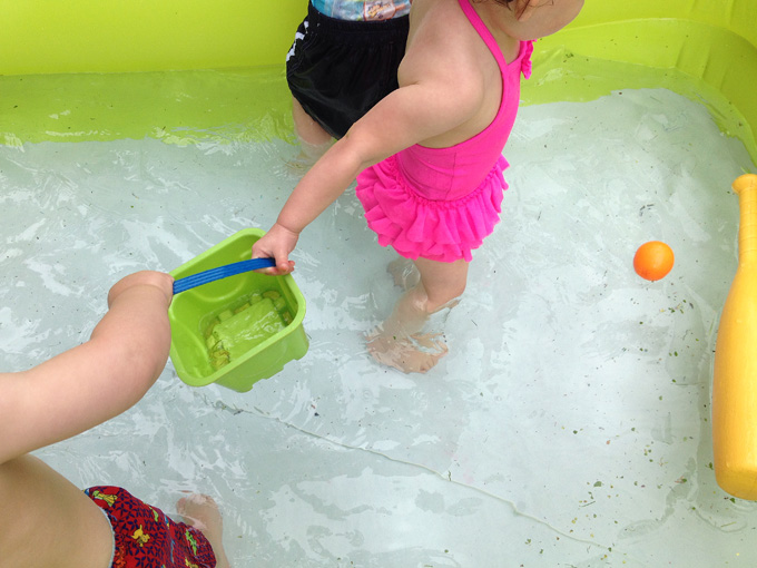 051813_113TheDisagreementR