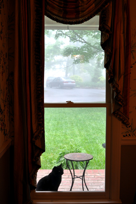 051913_114WindowShopperR