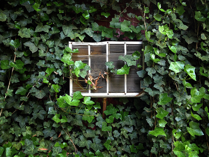 052613_121ForgottenShedR