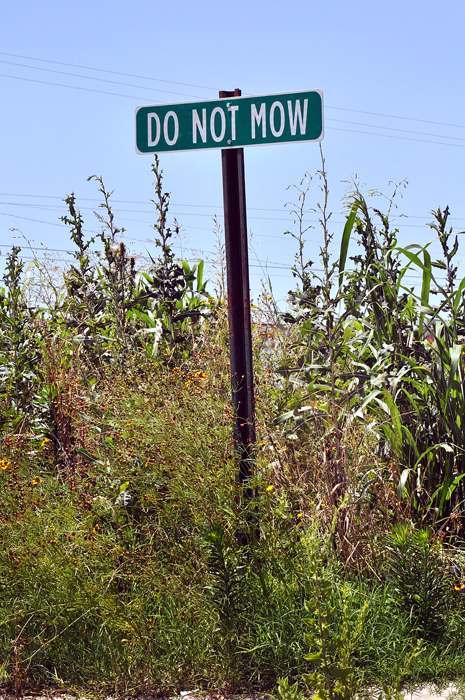 061413_140DoNotMowR