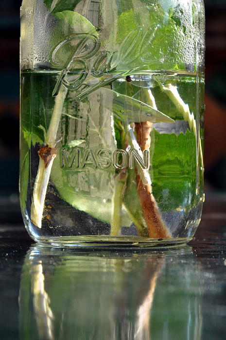 062113_147EmilysJarR