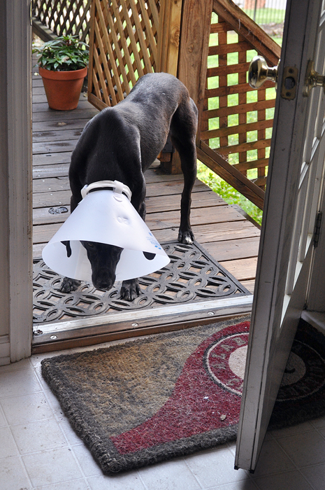 062713_153PickingUpMoscowR