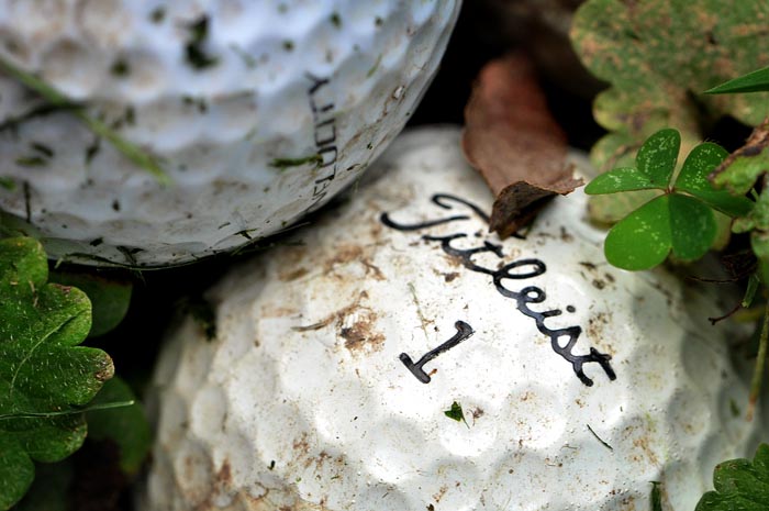 071913_175FoundTitleistR