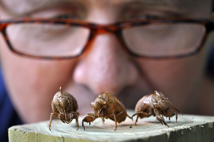 080313_190TheShellGameR