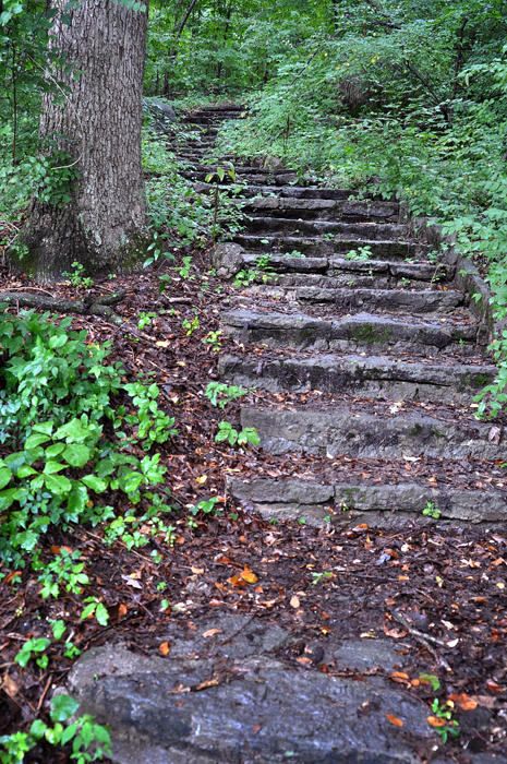 080713_194OldStompingGroundR