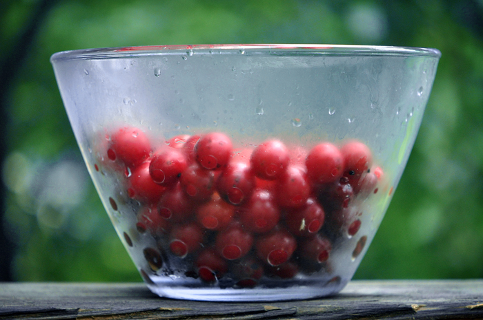 081013_197CherryPickin'R