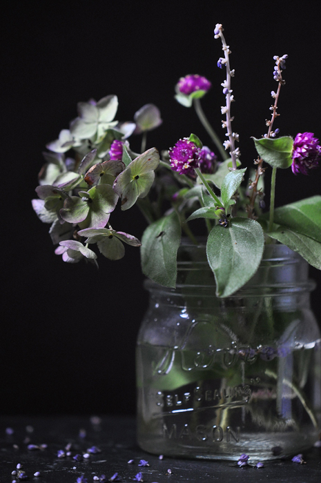 081813_205FlowersFromTheGardenR