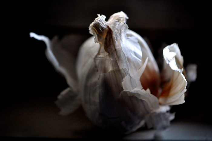 082613_213NoVampiresTodayR