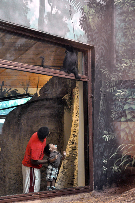 091413_232MonkeyBusinessRd