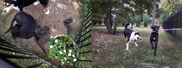 091813_236WelcomeHomeR