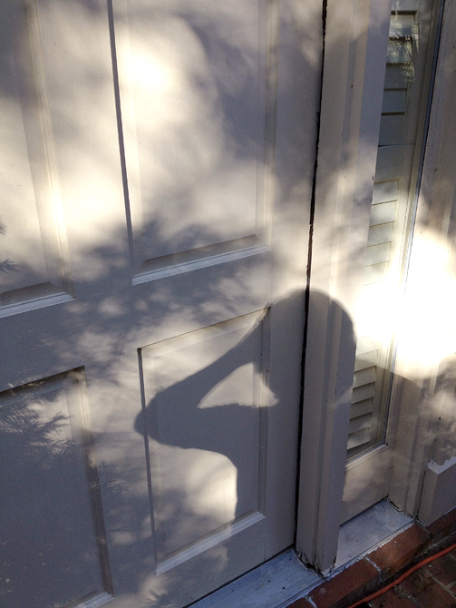 092713_245SelfPortraitWithShadowsR