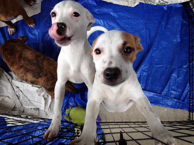 100613_254TakeMeHomeR