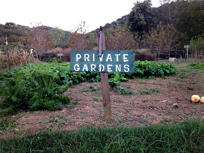 Basically a "Keep Out" sign in the garden at the Chickamauga Creek Greenway.