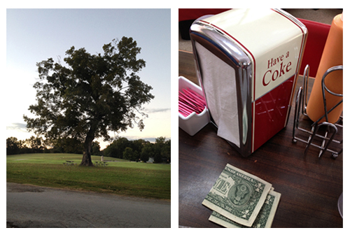 Old tree and sunset at the North Chickamauga Creek Greenway. And a "Drink Coke" napkin holder at Nikki's drive-in.