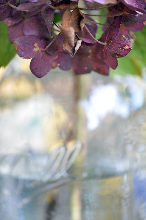 101213_260PicnicFlowersR