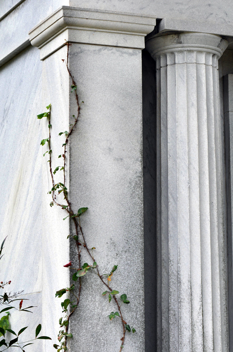 102213_270MausoleumIvyR