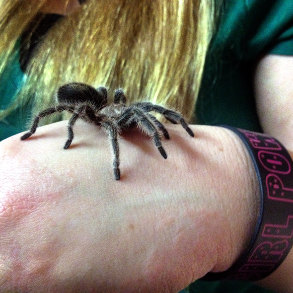 103113_279GirlPowerR