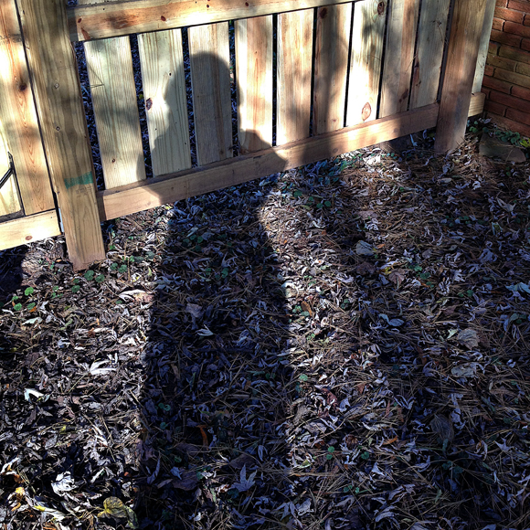 110313_282InViviansShadowR