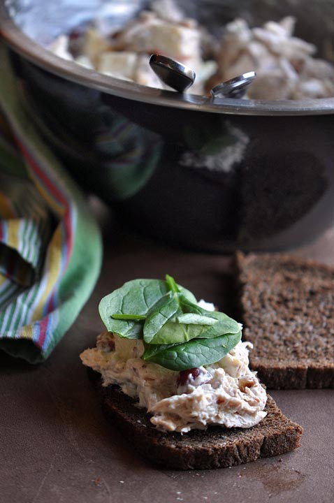 010814_349ChickenSaladR