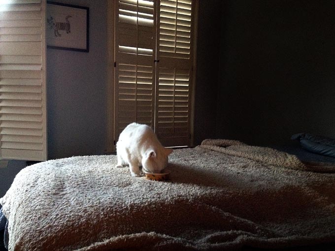 011614_357BreakfastR