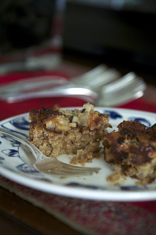 OatmealCakeSquareWForkReady