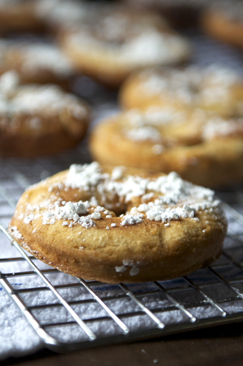 GermanCrullers w_powderSugarT