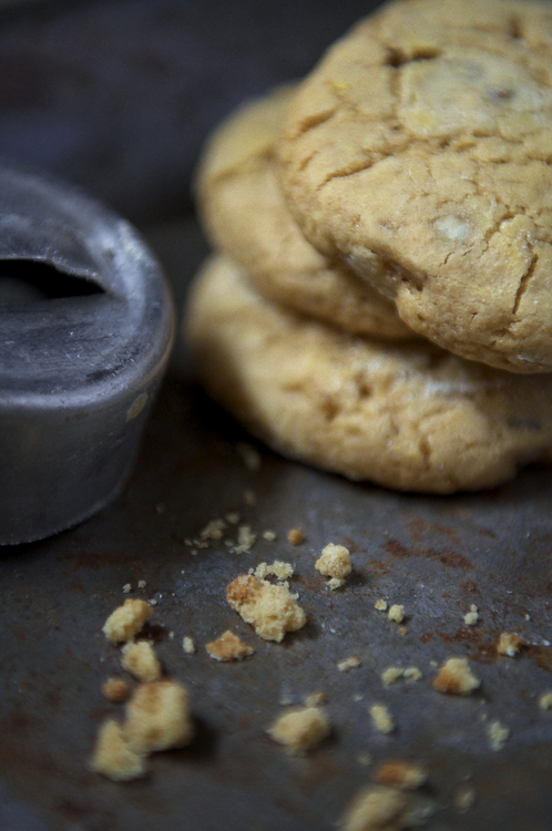 ButterscotchWalnuts MainTonedReady