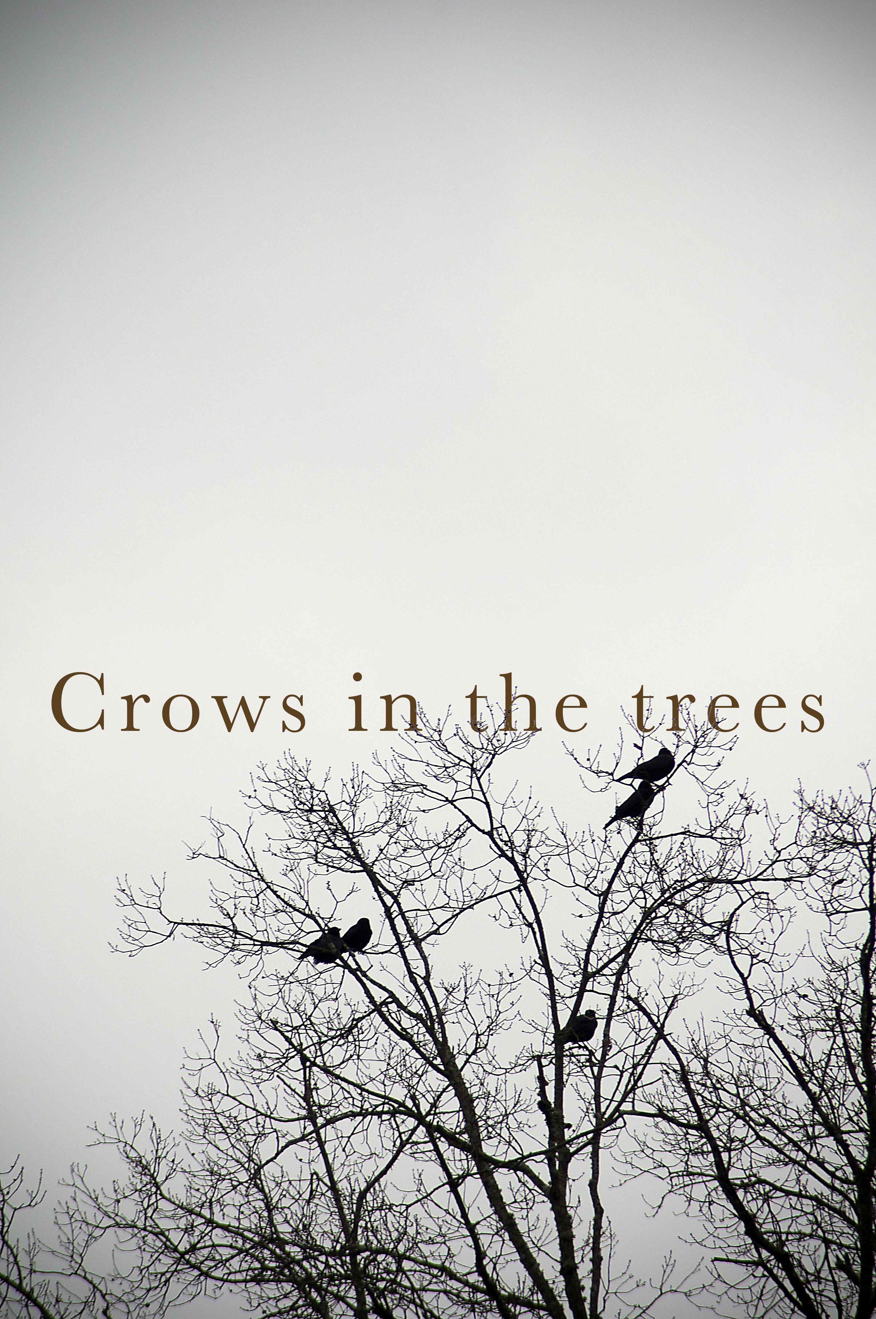 Crows in Trees plain flat
