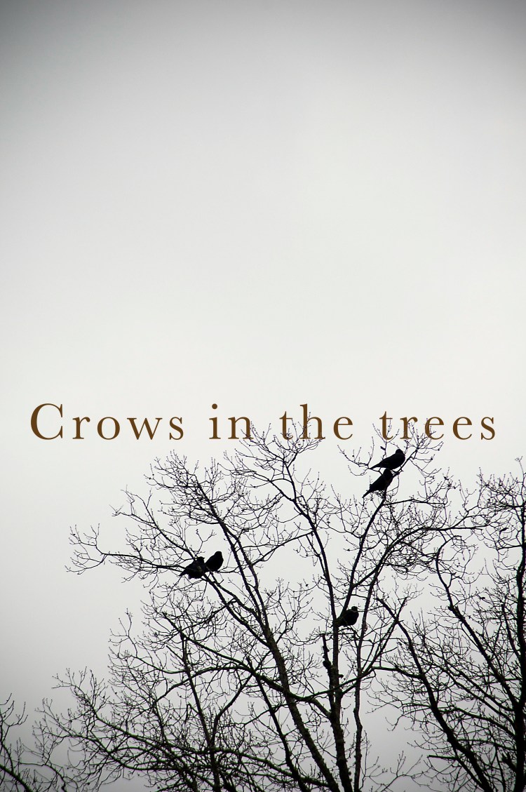 Crows in Trees plain flat